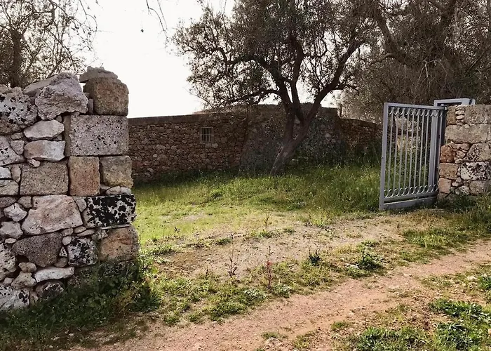 La Suppinna * 特里卡塞