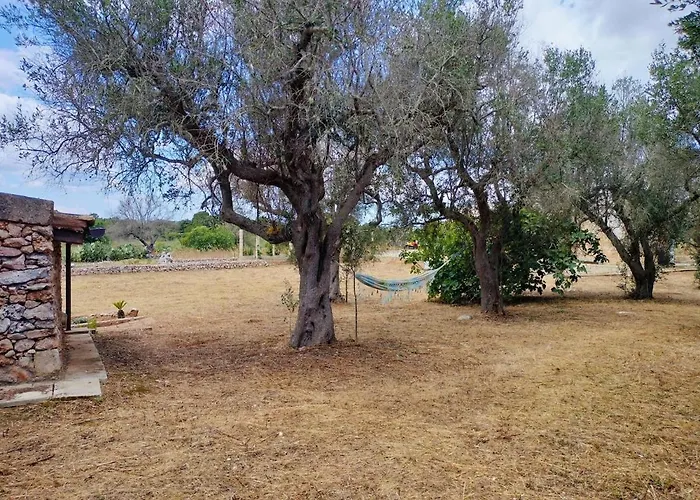 La Suppinna Tatil Evi